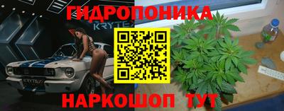 ALPHA PVP Мариинск