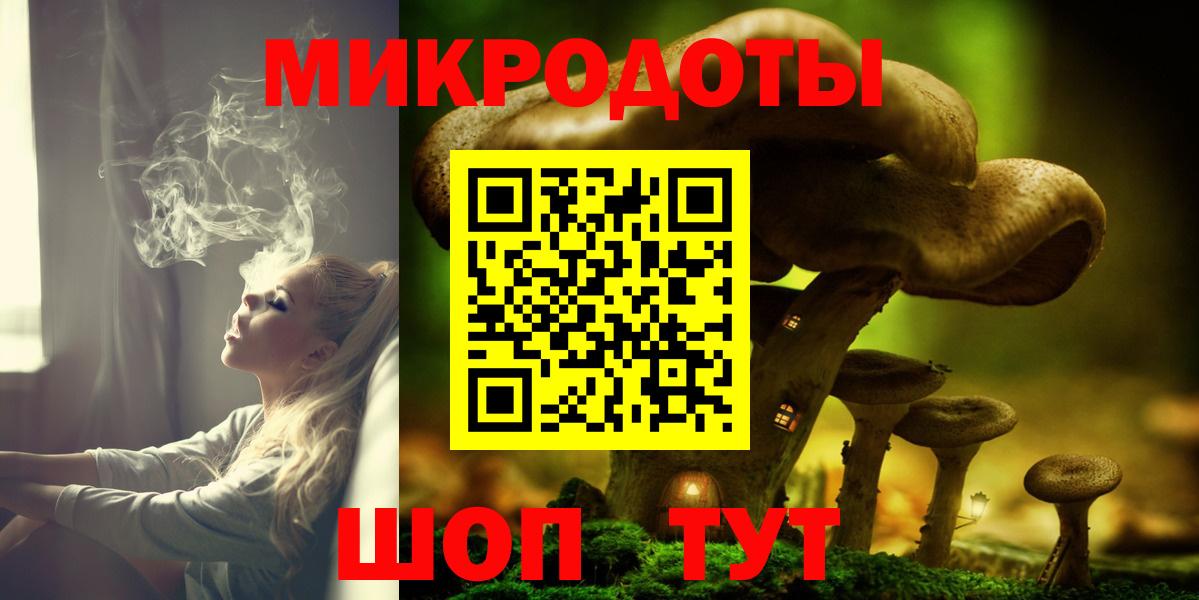 Гагарин  Галлюциногенные грибы Psilocybine cubensis  Псилоцибиновые грибы прущие грибы  Вход с VPN 